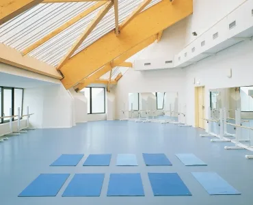  Taraflex™ Surface